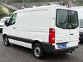 Volkswagen Crafter CRAFTER L1H1 AHK REGALSYSTEM VON BOTT DACHTRÄGER Weiß - thumbnail 20