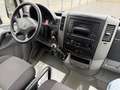 Volkswagen Crafter CRAFTER L1H1 AHK REGALSYSTEM VON BOTT DACHTRÄGER Weiß - thumbnail 19