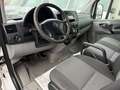 Volkswagen Crafter CRAFTER L1H1 AHK REGALSYSTEM VON BOTT DACHTRÄGER Weiß - thumbnail 2