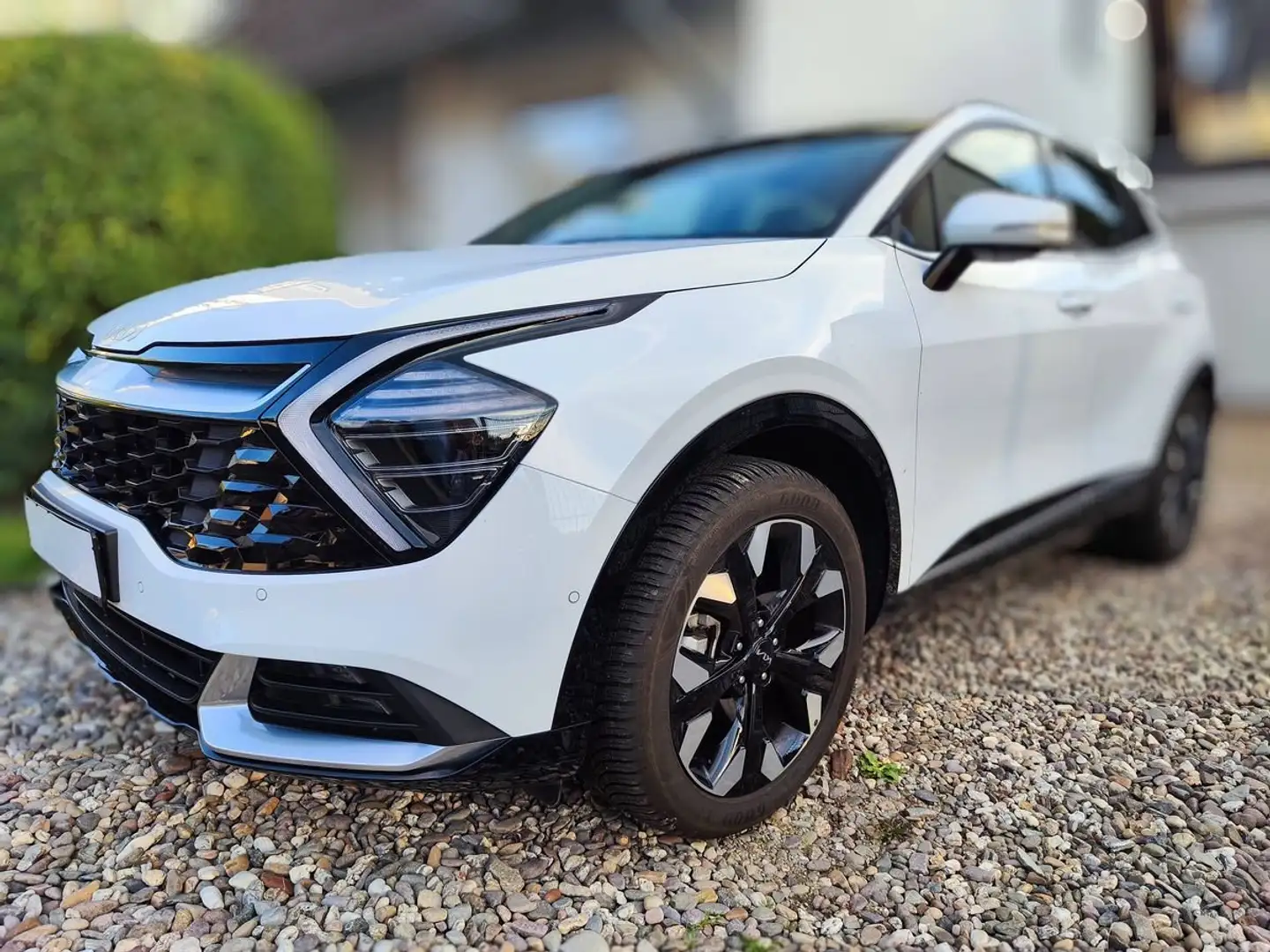 Kia Sportage Sportage 1.6T-GDI Hybrid AWD Aut. Spirit Weiß - 2