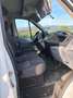 Ford Transit Transit Kasten 2,0 TDCi L2H2 290 Trend Trend Weiß - thumbnail 4