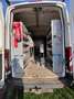 Ford Transit Transit Kasten 2,0 TDCi L2H2 290 Trend Trend Weiß - thumbnail 6