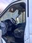Ford Transit Transit Kasten 2,0 TDCi L2H2 290 Trend Trend Weiß - thumbnail 5