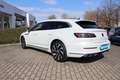 Volkswagen Arteon Shooting Brake R-Line 2,0 TDI Pano Matrix AHK Weiß - thumbnail 10