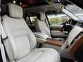 Land Rover Range Rover Vogue 5.0 V8*SVO-Mattlack*Pano* Groen - thumbnail 21