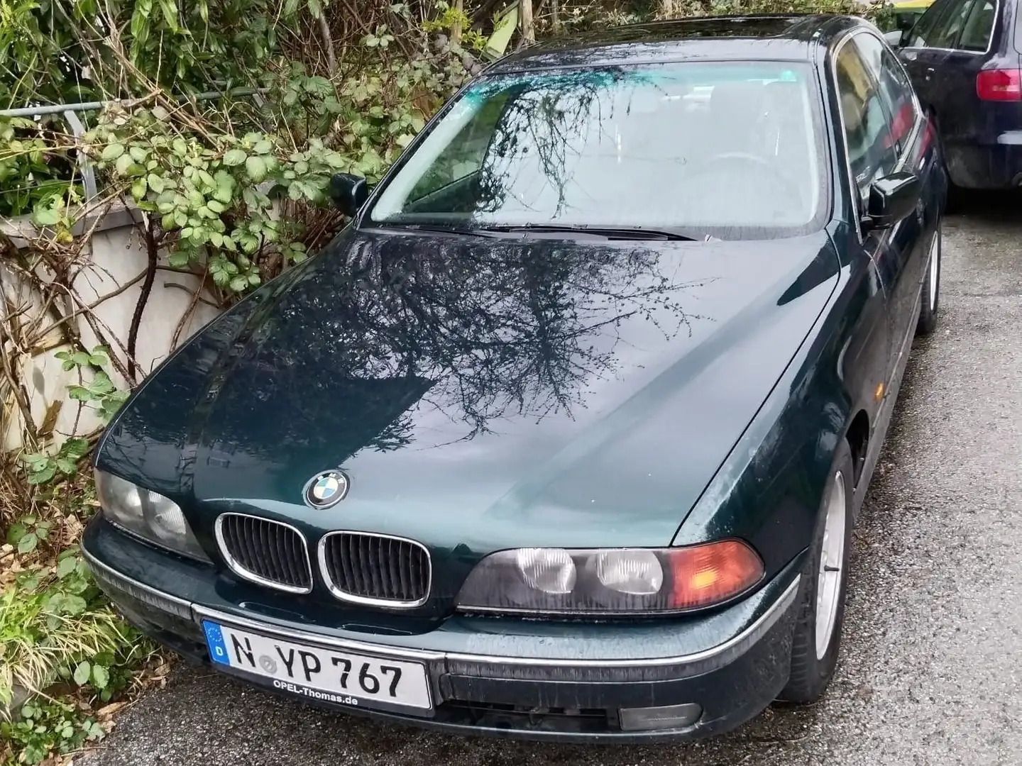 BMW 530 5er 530d Grün - 1