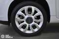 Fiat 500L Living 1.3 Multijet 85 CV Dualogic Lounge 7 posti Wit - thumbnail 23