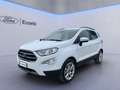 Ford EcoSport 1.0 EcoBoost 125 CV Start&Stop Titanium Bianco - thumbnail 3
