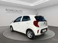 Kia Picanto 1.0 dpi 5 porte Urban Bianco - thumbnail 4