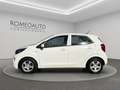 Kia Picanto 1.0 dpi 5 porte Urban Bianco - thumbnail 3