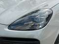 Porsche Cayenne Turbo Matrix HUD 360°BOSE Pano ACC StHzg 18 Wege Grau - thumbnail 9