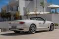 Bentley Continental GT W12 Convertible Wit - thumbnail 7