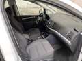Volkswagen Sharan Business 4Motion TDI "7 Sitzer" Weiß - thumbnail 19
