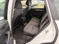 Audi Q5 Q5 I 20011 2.0 tdi quattro 170cv E5 Bianco - thumbnail 11