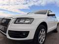 Audi Q5 Q5 I 20011 2.0 tdi quattro 170cv E5 Bianco - thumbnail 7