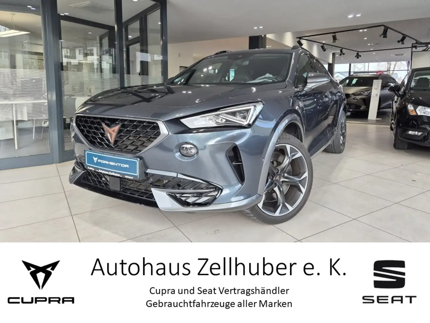CUPRA Formentor 2.0TSI 4D DSG *Brembo*Beats*El. Sitze* Grau - 1