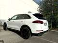 Porsche Cayenne II 3.0 DIESEL tiptronic Unipro km certificati Bianco - thumbnail 4