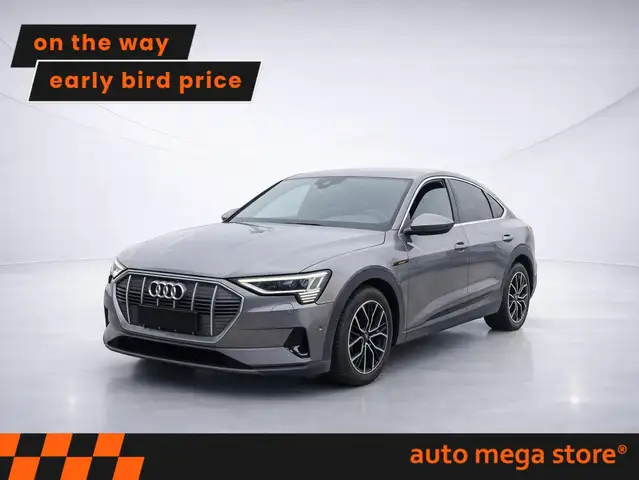 Audi e-tron 55 quattro S Line 95kWh RFK/ACC/SHZ/Luft