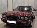 Jaguar XJ8 3.2 SJ V8 237 CH Executive Rood - thumbnail 5