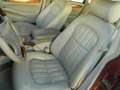 Jaguar XJ8 3.2 SJ V8 237 CH Executive Rood - thumbnail 14