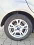 Ford B-Max B-MAX 1.6 Aut. SYNC Edition Beige - thumbnail 6