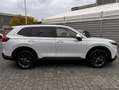 Honda CR-V e:HEV Elegance AWD|AHK|Leder|Pano Weiß - thumbnail 9