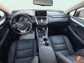 Lexus NX 300 300h Executive Navigation 4WD Gris - thumbnail 18