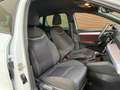 SEAT Ibiza 1.0 EcoTSI FR Business Connect DSG | Navigatie | P Wit - thumbnail 3