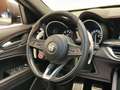 Alfa Romeo Stelvio 2.9 Bi-Turbo Q4 Quadrifoglio AT8 Grau - thumbnail 23