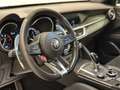 Alfa Romeo Stelvio 2.9 Bi-Turbo Q4 Quadrifoglio AT8 Grau - thumbnail 18