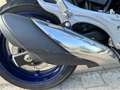 Suzuki Gladius 650 - thumbnail 11