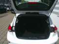 Ford Focus 1,0 EcoBoost Trend Weiß - thumbnail 5