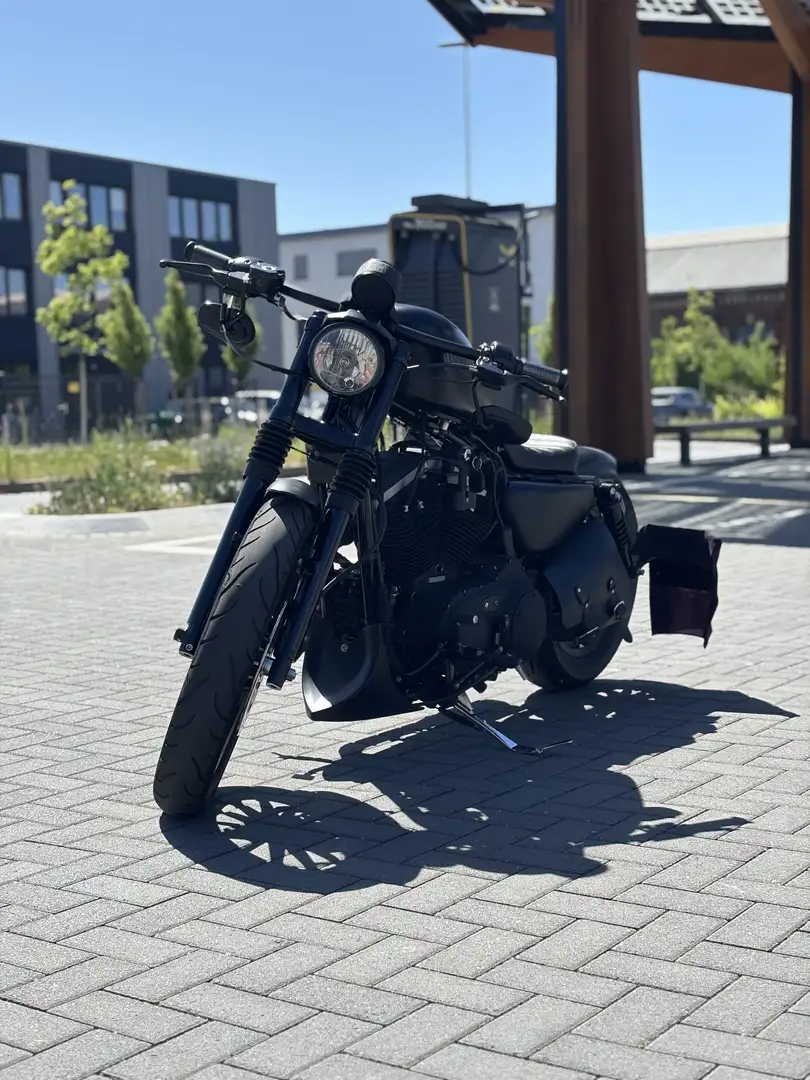 Harley-Davidson Sportster XL 883 - 2