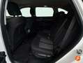Kia Sorento 2.2CRDi Emotion 4x4 DCT Blanco - thumbnail 24