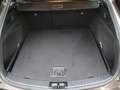 Toyota Corolla Touring Sports 1.8 Hybrid Executive Limited | Park Bruin - thumbnail 31