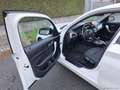 BMW 118 118d AUTOM. EURO 6 CRUISE SENSORI DI PARCHEGGIO Bianco - thumbnail 9