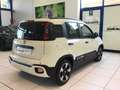 Fiat Panda Pandina 1.0 FireFly 65 CV Hybrid Cross MY25 Blanc - thumbnail 8