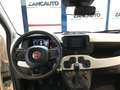 Fiat Panda Pandina 1.0 FireFly 65 CV Hybrid Cross MY25 Blanc - thumbnail 9