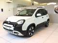 Fiat Panda Pandina 1.0 FireFly 65 CV Hybrid Cross MY25 Blanc - thumbnail 5
