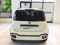 Fiat Panda Pandina 1.0 FireFly 65 CV Hybrid Cross MY25 Weiß - thumbnail 7