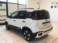 Fiat Panda Pandina 1.0 FireFly 65 CV Hybrid Cross MY25 Blanc - thumbnail 6