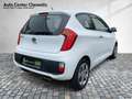 Kia Picanto 1.0 Edition Klima/Radio/Servo Weiß - thumbnail 5