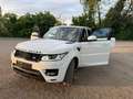 Land Rover Range Rover Sport Range Rover Sport 3,0 SDV6 HSE HSE Weiß - thumbnail 1