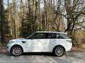 Land Rover Range Rover Sport Range Rover Sport 3,0 SDV6 HSE HSE Weiß - thumbnail 13