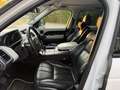 Land Rover Range Rover Sport Range Rover Sport 3,0 SDV6 HSE HSE Weiß - thumbnail 9