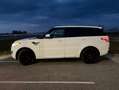 Land Rover Range Rover Sport Range Rover Sport 3,0 SDV6 HSE HSE Weiß - thumbnail 10