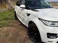 Land Rover Range Rover Sport Range Rover Sport 3,0 SDV6 HSE HSE Weiß - thumbnail 12