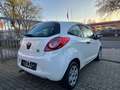 Ford Ka/Ka+ Ambiente KLIMA - thumbnail 5