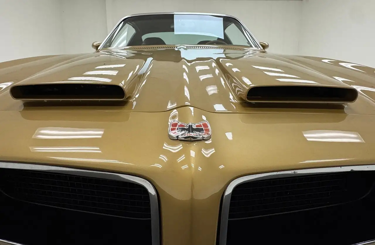 Pontiac Firebird Formula, foto 11