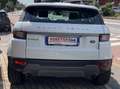 Land Rover Range Rover Evoque Range Rover Evoque 2.0 td4 Pure Business edition Blanc - thumbnail 5